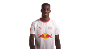 Red Bull No Sticker by RB Leipzig