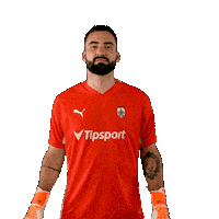 Football Soccer Sticker by Nike liga