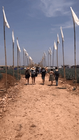 hebertomoreno giphyupload GIF