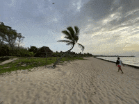 Playa Del Carmen GIF by CGTraveler - Carlos Garrido - Adventrgram