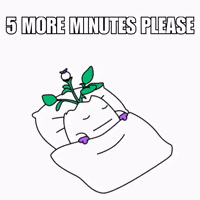 Wake Up No GIF by Magic Eden