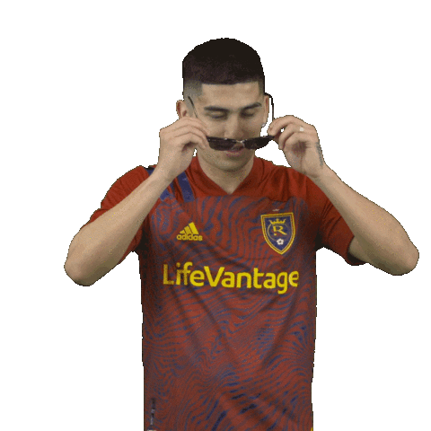 Major League Soccer Sticker by realsaltlake