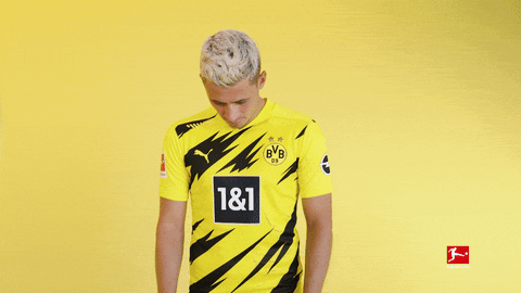 Borussia Dortmund Smiling GIF by Bundesliga