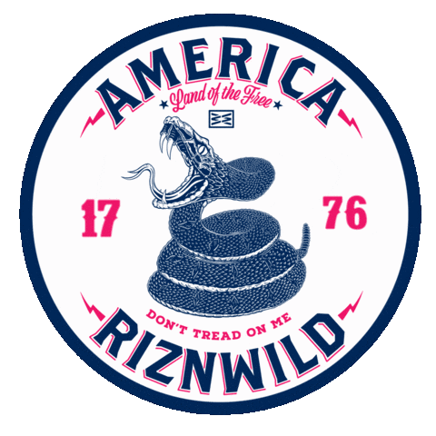 Independence Day America Sticker by RIZNWILD