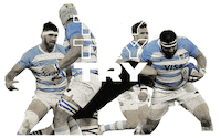 Argentina Rugby Sticker by icbc