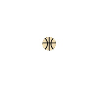 Basketball Nba Sticker by Ripcity