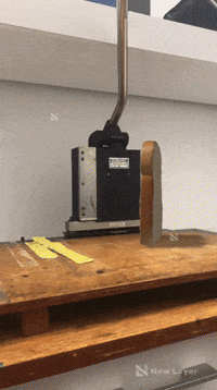 Studio Oscars GIF by Alex Boya