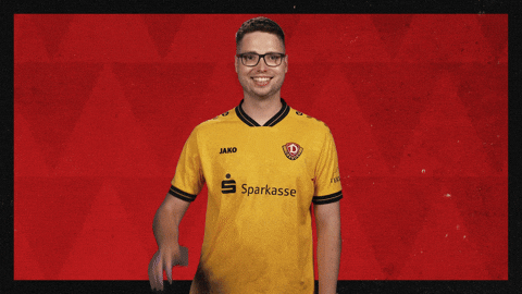 Dynamo Dresden Hello GIF by Bundesliga