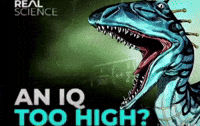 Scary Monsters Jjba GIF