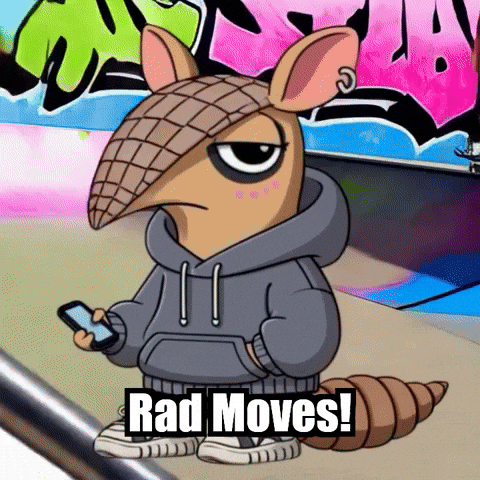 Extreme Sports Skateboarding GIF by Chillo Dillo