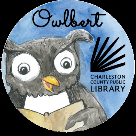 chascolibrary giphygifmaker owl read library GIF