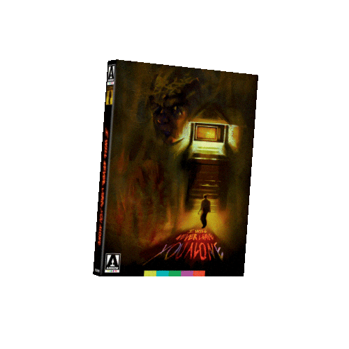 Blu Ray Film Sticker by Arrow Video