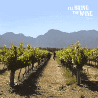 Ice Cream Wine GIF by Nederburg