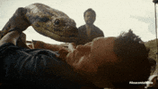 Anaconda GIF by Sony Pictures