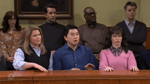 Snl Jury GIF by Saturday Night Live