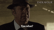 No Way What GIF by Mammoth Screen