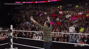 daniel bryan wrestling GIF by WWE