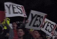 daniel bryan yes GIF