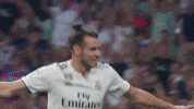 la liga real madrid 18/19 season GIF by Real Madrid