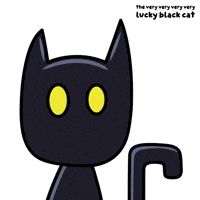 Black Cat What GIF by VeeFriends