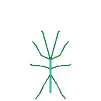 Stick Insect Sticker by entomologando