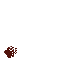 Bear Footprints Sticker by Bärnstein