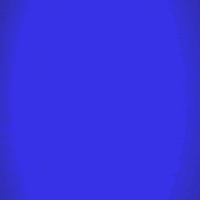 President Prez GIF by Jeopardy!