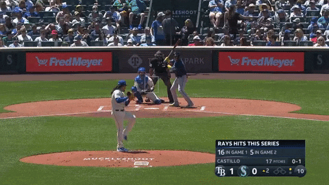 estee42 giphyupload GIF