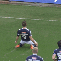 The Den Win GIF by MillwallFC