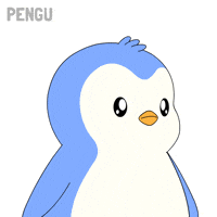 Surprise Omg GIF by Pudgy Penguins