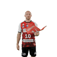 Handball Lux Sticker by DAIKIN HBL