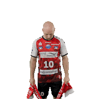 Handball Lux Sticker by DAIKIN HBL
