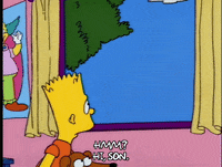 homer simpson GIF