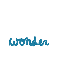 Shawn Mendes Wonder Sticker