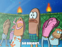 season 6 GIF by SpongeBob SquarePants