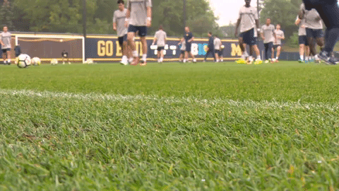 umichathletics giphygifmaker GIF