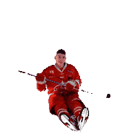 U18 Sticker by StjernenHockey