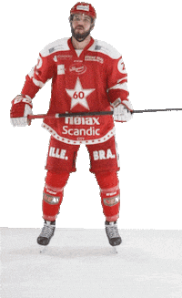 Stjernenalag Sticker by StjernenHockey
