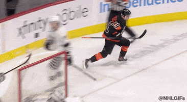 Happy Ice Hockey GIF by NHL