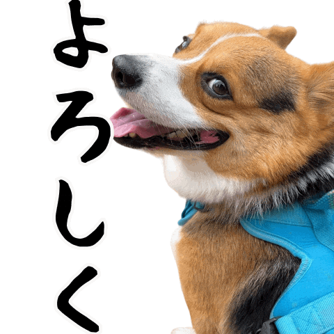 Corgi Milo Sticker