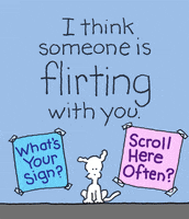 chippythedog chippythedog GIF