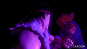 Video Game Fighting GIF by CAPCOM