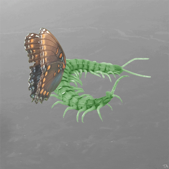 Art Fly GIF by Trevor Anderson