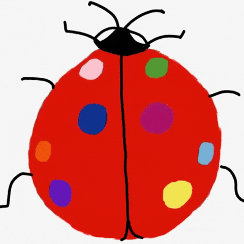 Lady Bug Dots GIF by Barbara Pozzi