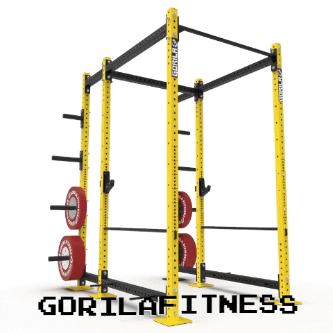 fitness rack GIF