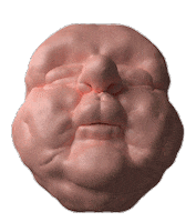 animation 3d STICKER