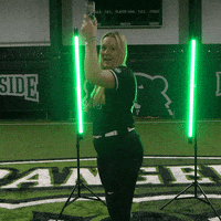 Parkside Softball GIF by Parkside Athletics