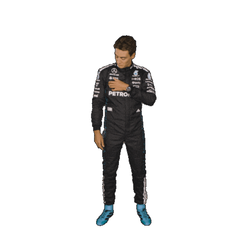 Formula One Logo Sticker by Mercedes-AMG Petronas Formula One Team