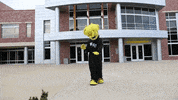 Wu_Shock wu wsu wushock shockers GIF
