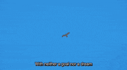 Silver Spoon Fox GIF by All The Anime — Anime Limited